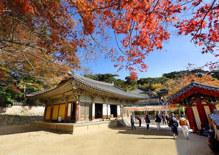 Bulguksa Temple Autumn View
