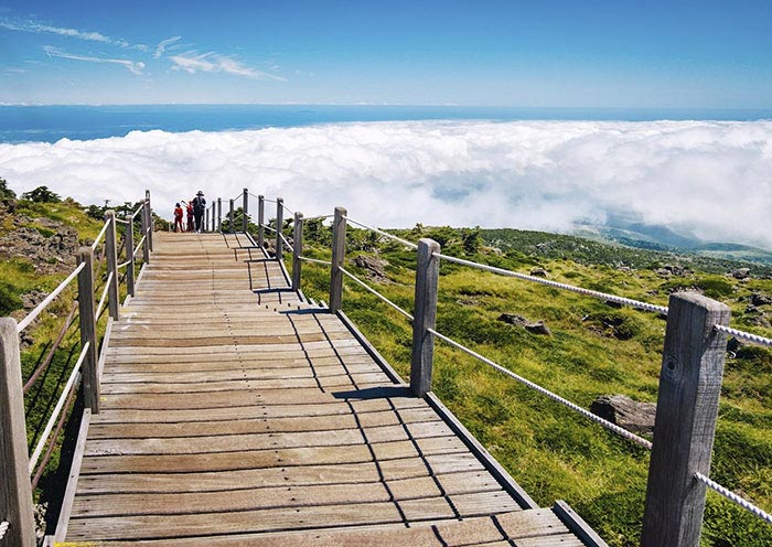 Explore Mt. Halla on Jeju Island