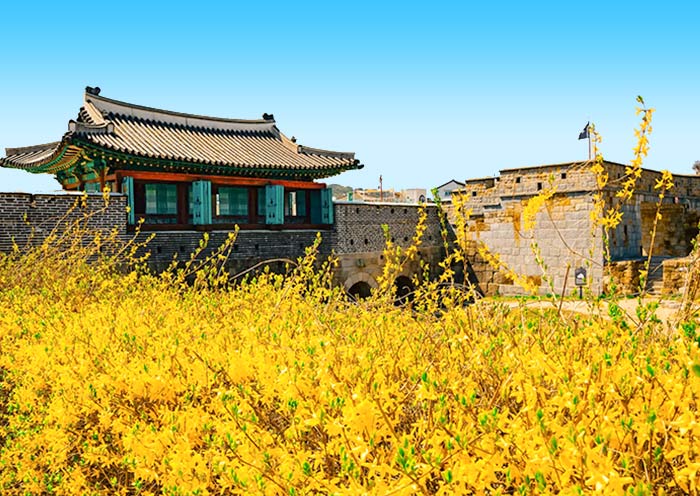 Suwon Hwaseong Fortress