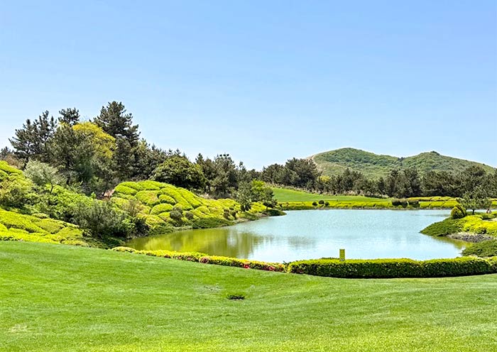 Teddy Valley Golf & Resort