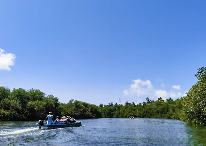Cruise through Bentota's Madu River Safari