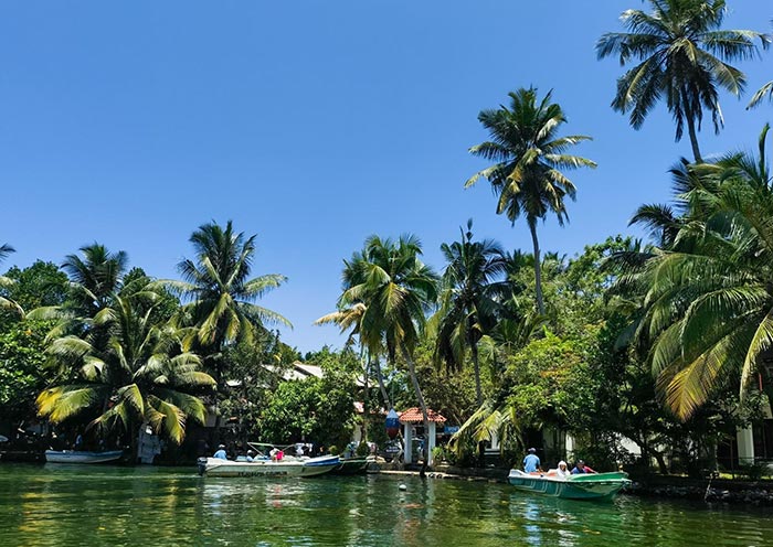 Bentota's Madu River Safari adventure