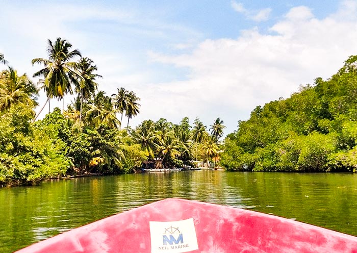 The exciting Bentota Madu River Safari