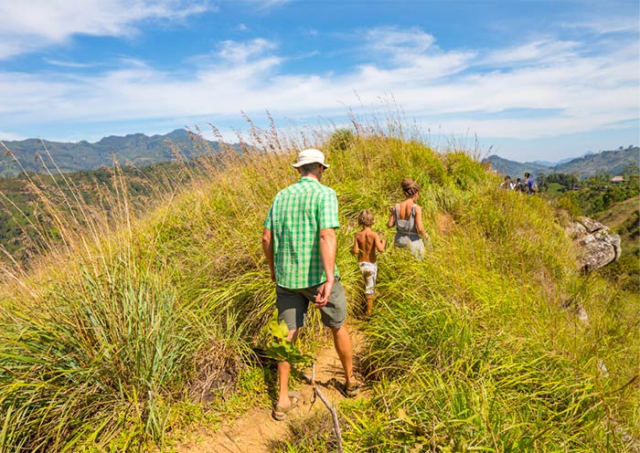 A Family Hike on Horton Plains 