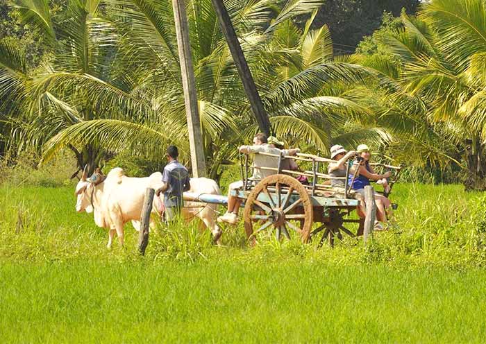 Village of Hiriwadunna