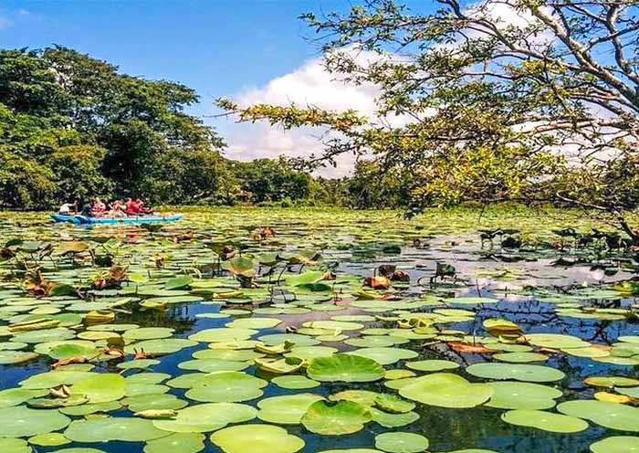 Enjoy a catamaran ride in  Hiriwadunna Village.