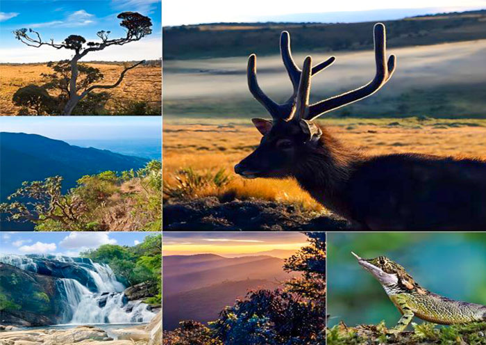 Horton Plains National Park