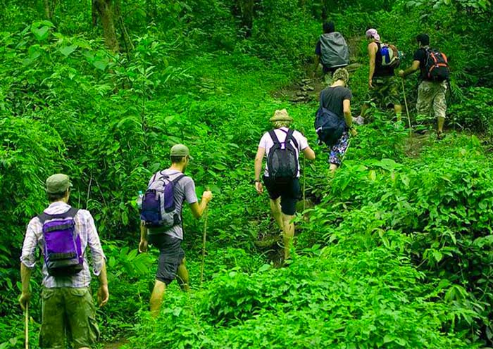 Rainforest Trekking in Kitulgala