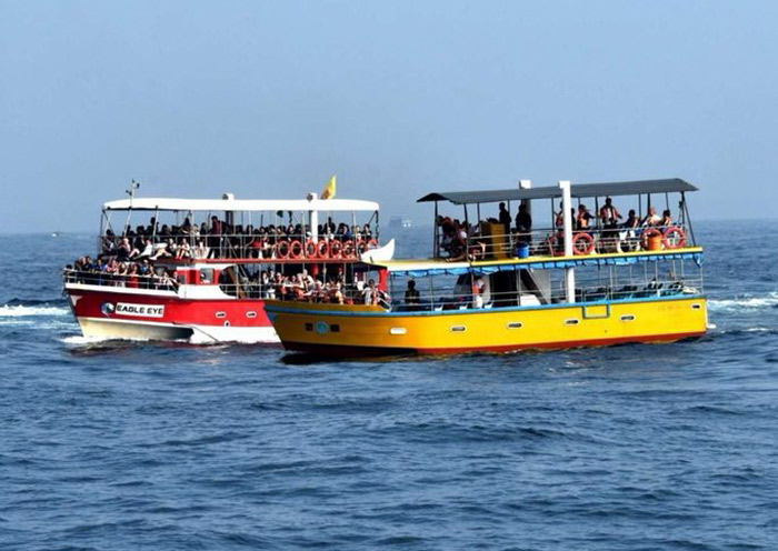 Experiencing the thrilling whale-watching in Mirissa