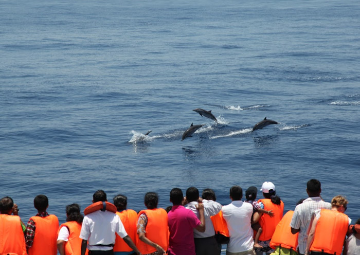 Whale-watching in Mirissa