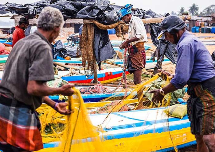 Negombo Fish Market
