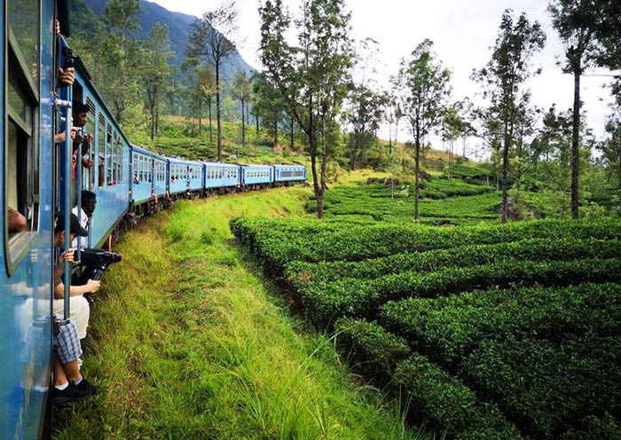Nuwara Eliya to Ella: Among world's most beautiful train routes
