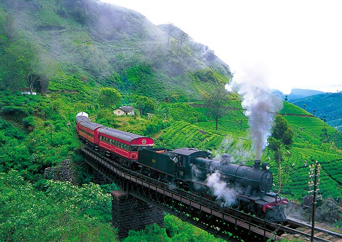 Mountain Train Journey