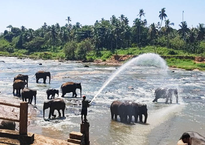 10 Best Places to Visit in Sri Lanka with Family
