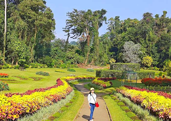 Royal Botanical Garden in Kandy