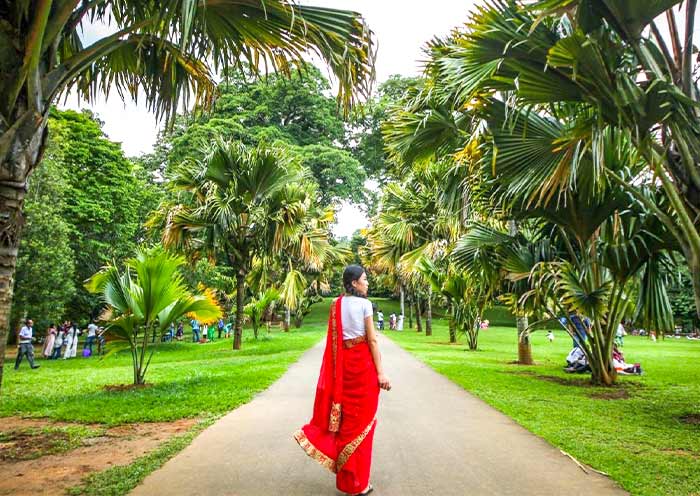 Royal Botanical Garden in Kandy
