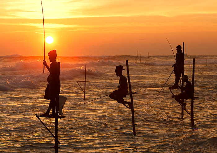 Stilt fishing in Southern Sri Lanka's coastal areas
