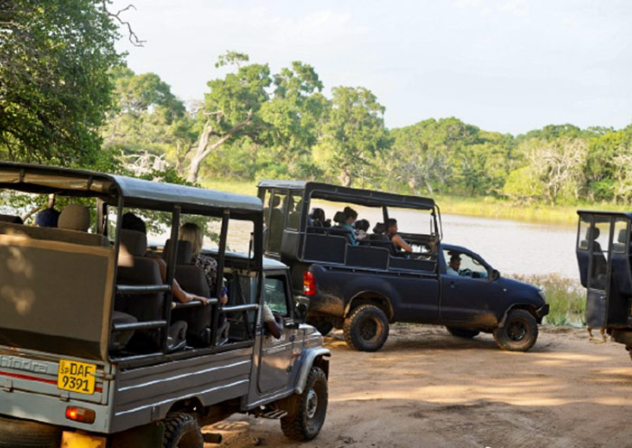 Going on a jeep safari in Yala National Park