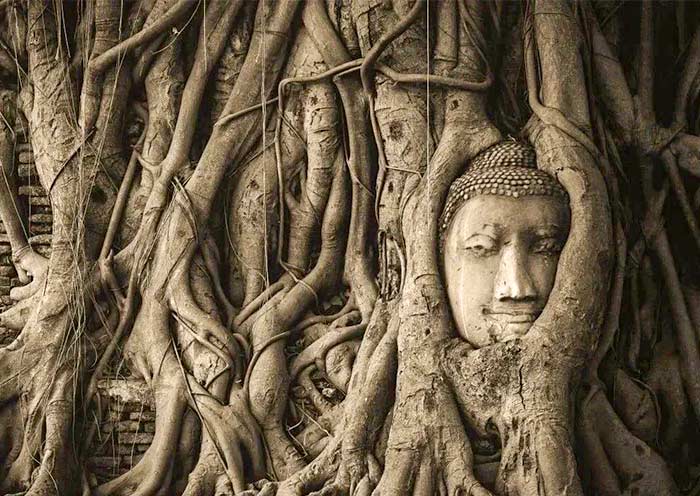 Wat Maha That, Ayutthaya