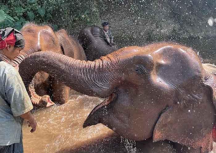 Thailand Cambodia Tour 