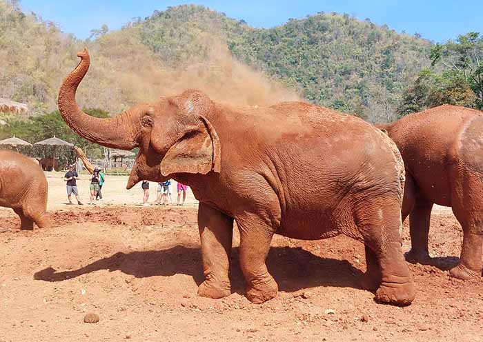 Chiang Mai Tour Packages