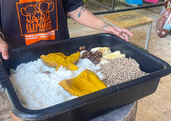 Special food for Elephants