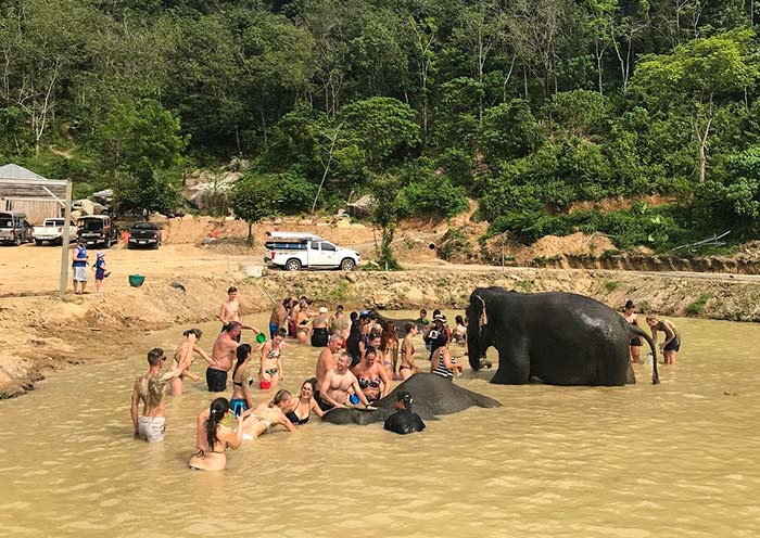 Outdoor Elephant Shower