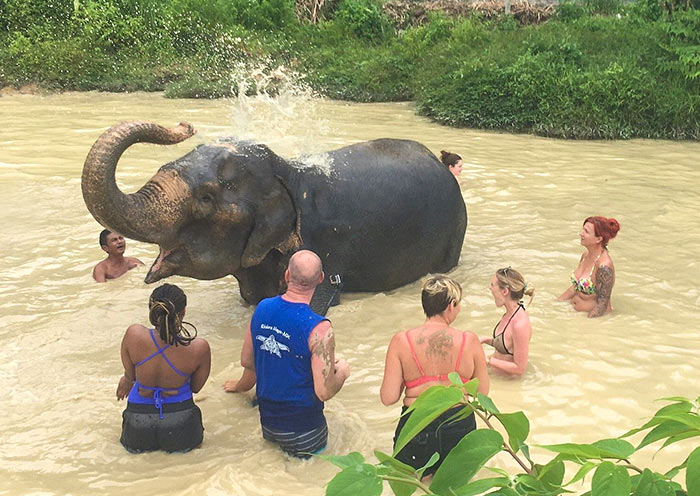 Have fun with Elephant