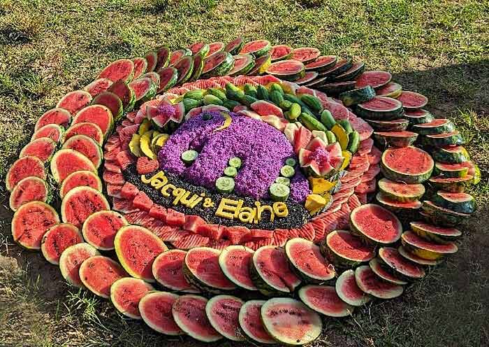 Watermelons for elephants