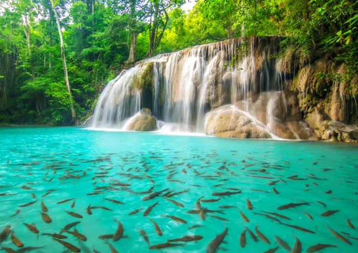 Swim in Erawan Waterfall, Kanchanaburi