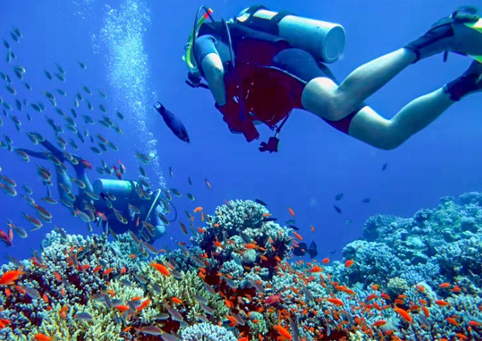 Divers Paradise, Thailand