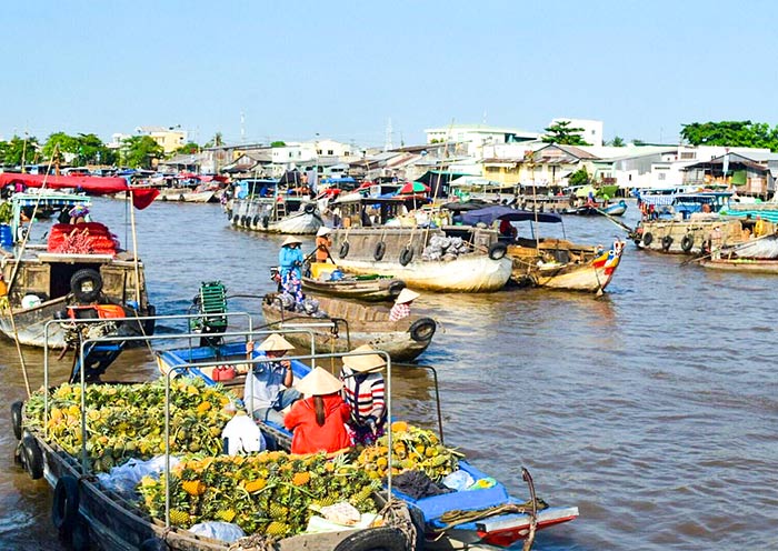 Cai Rang's waterways overflow with life