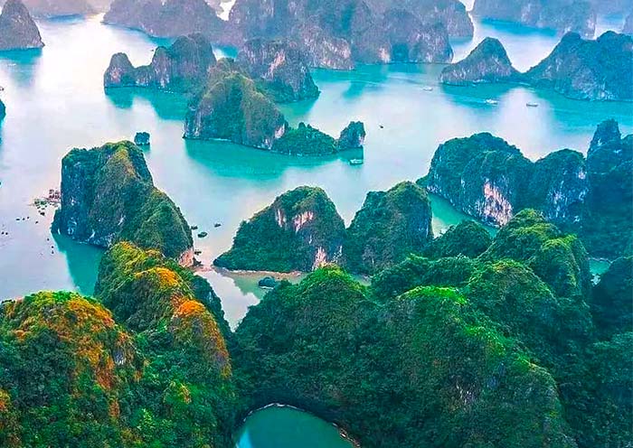 Take a relaxing cruise through Halong Bay