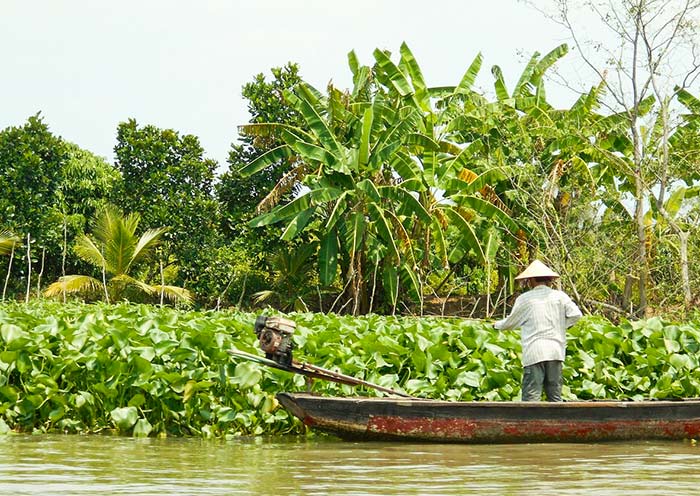 My Tho Mekong Delta cruise