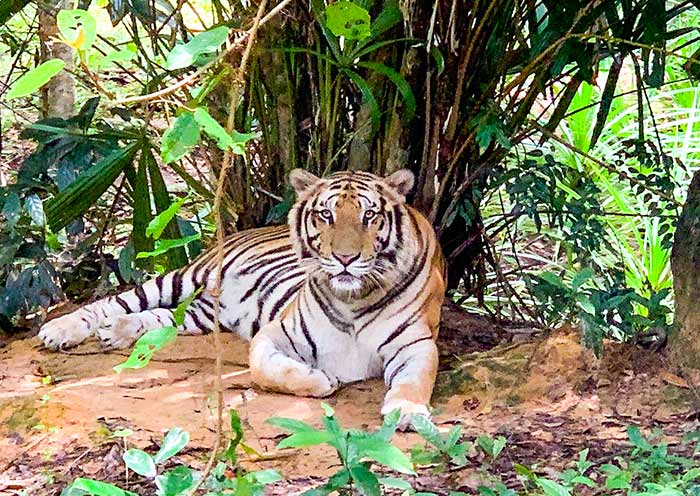 Phu Quoc National Park, Vietnam Phu Quoc National Park, Vietnam