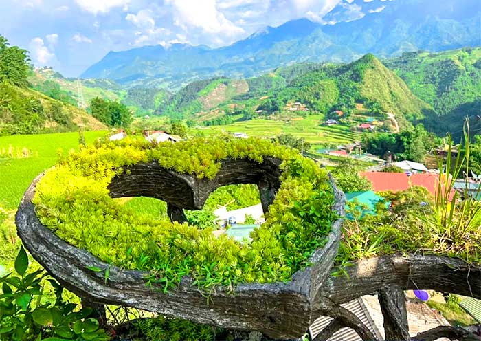 Visit Cat Cat Village in Sapa
