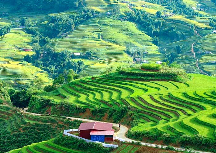 Sapa rice terraces, Giang Ta Chai Village