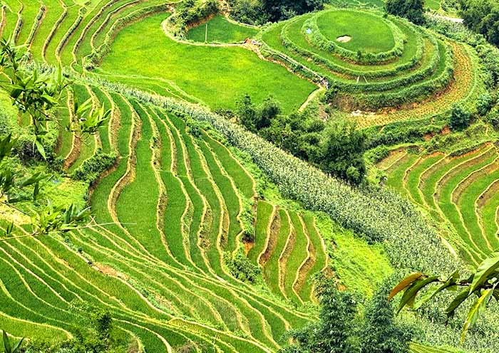 Ta Van Village, Sapa