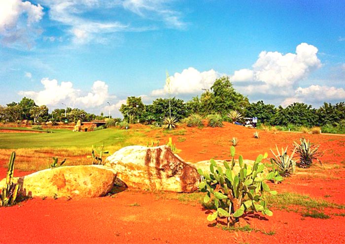 Asia Golf Tours Icon