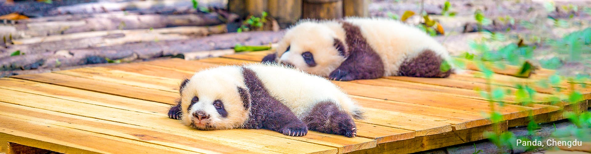 China Tours from Chengdu