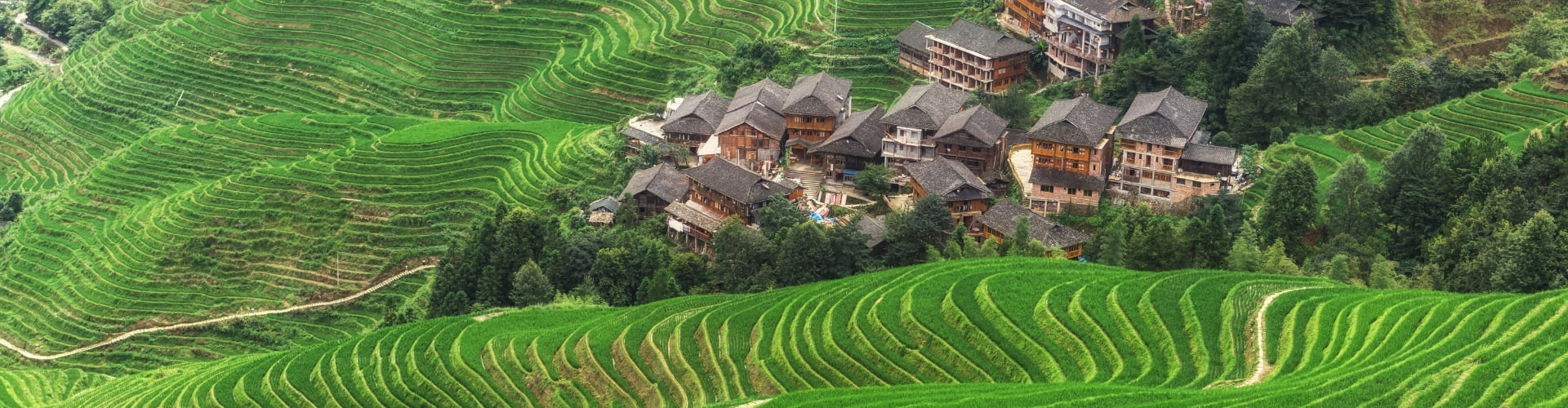 Longji Rice Terraces Tours