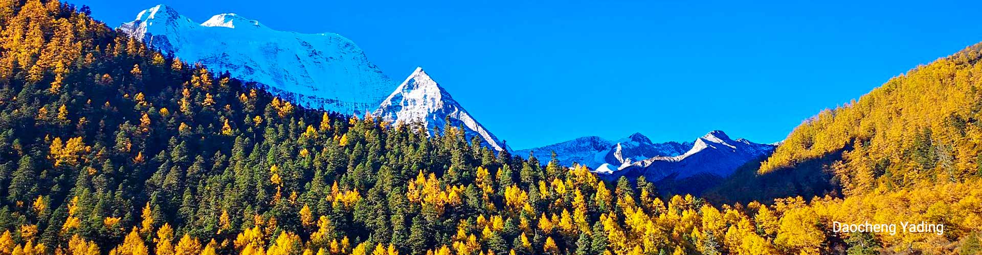 Daocheng Yading Tours