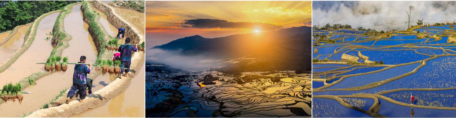 Yuanyang Rice Terraces Tours