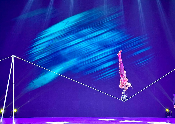 Stunning acrobatic performances
