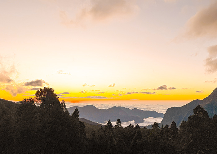Alishan Sunrise
