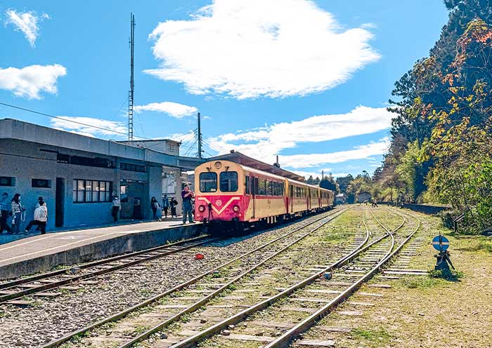 Alishan Forest Train
