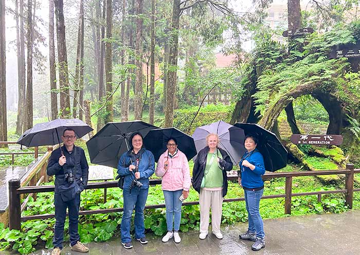 Three Generations Tree in Alishan Forest Park