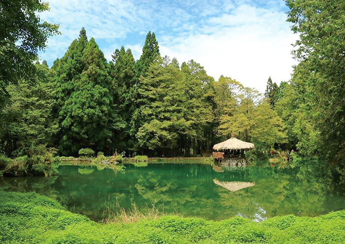 Alishan Sister Ponds