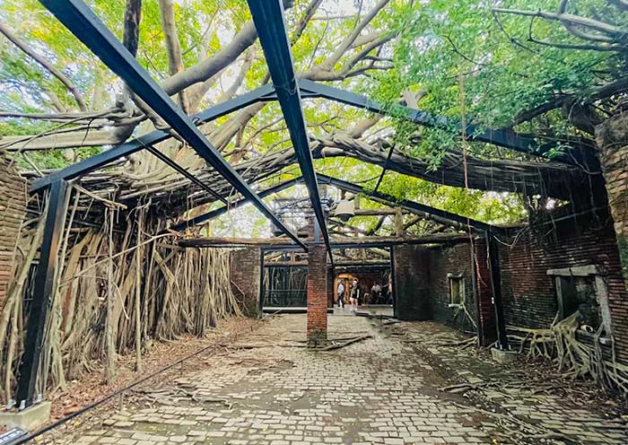 Anping Tree House, Tainan