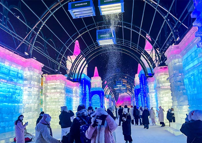 AOT Guests visiting Harbin Ice and Snow World